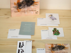 Lots de 6 cartes postales " Saint Louis du Sénégal "