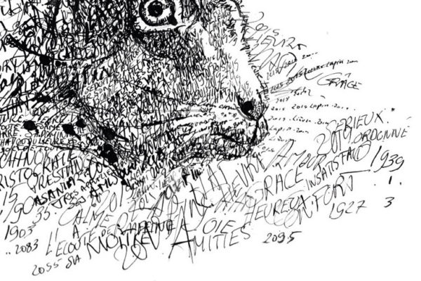 Carte postale Lapin – Image 2