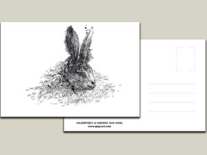 Carte postale Lapin