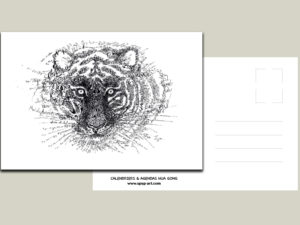 Carte postale Tigre