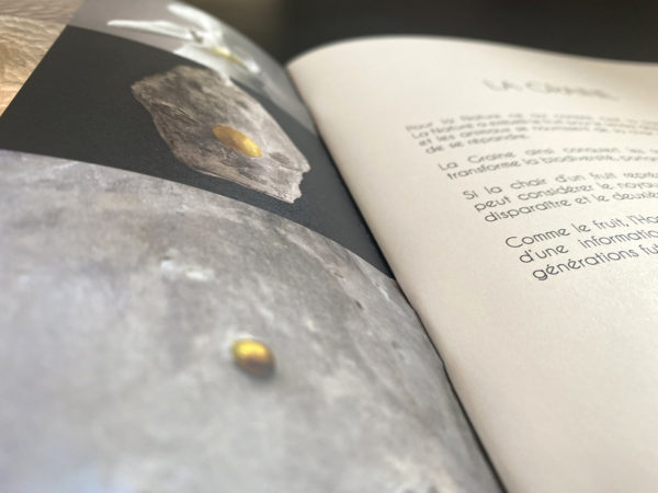 La Graine - Davide Galbiati – Image 3