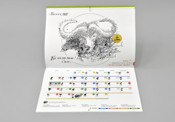 Calendrier Chinois - Serpent de Bois 2025