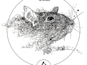 CALENDRIER CHINOIS – Rat de Métal 2020