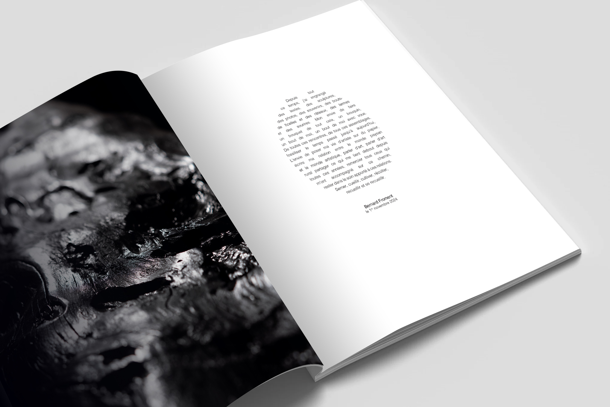 Bernard Froment - Semence – Image 2